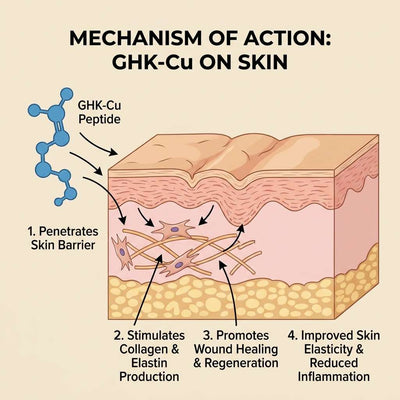 Anti-Aging GHKCu Serum